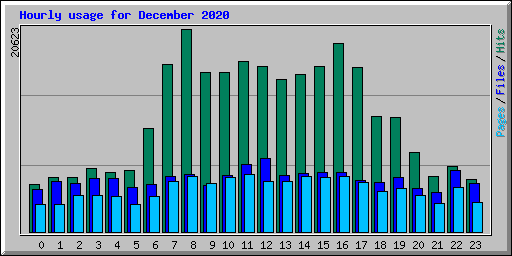Hourly usage for December 2020