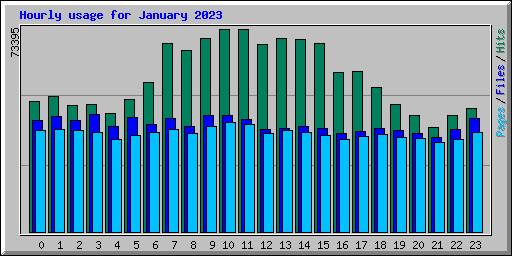 Hourly usage for January 2023