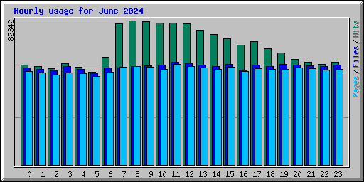 Hourly usage for June 2024