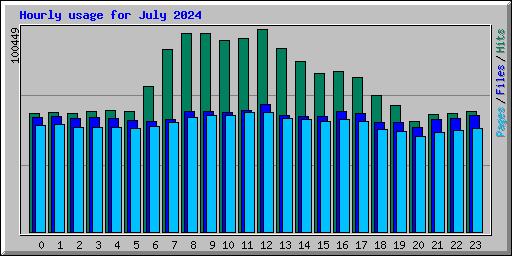 Hourly usage for July 2024