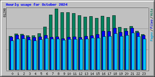 Hourly usage for October 2024