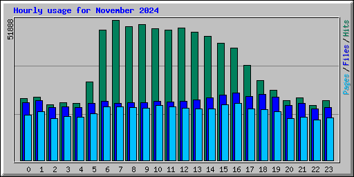 Hourly usage for November 2024