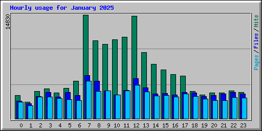 Hourly usage for January 2025