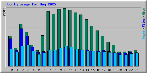 Hourly usage for May 2025