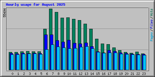 Hourly usage for August 2025