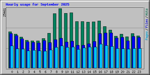 Hourly usage for September 2025