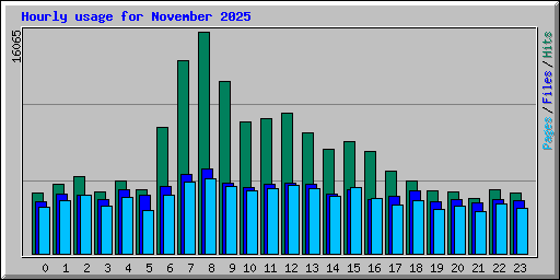 Hourly usage for November 2025