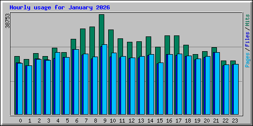 Hourly usage for January 2026