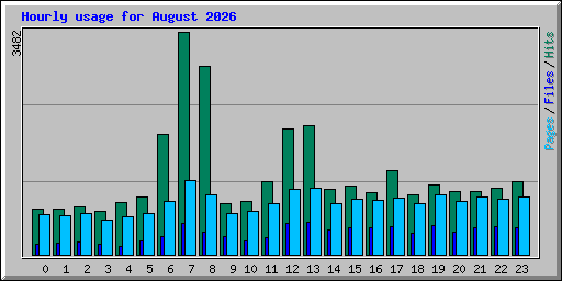 Hourly usage for August 2026