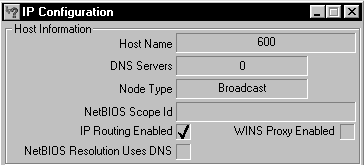 routing_enabled.gif (3837 bytes)